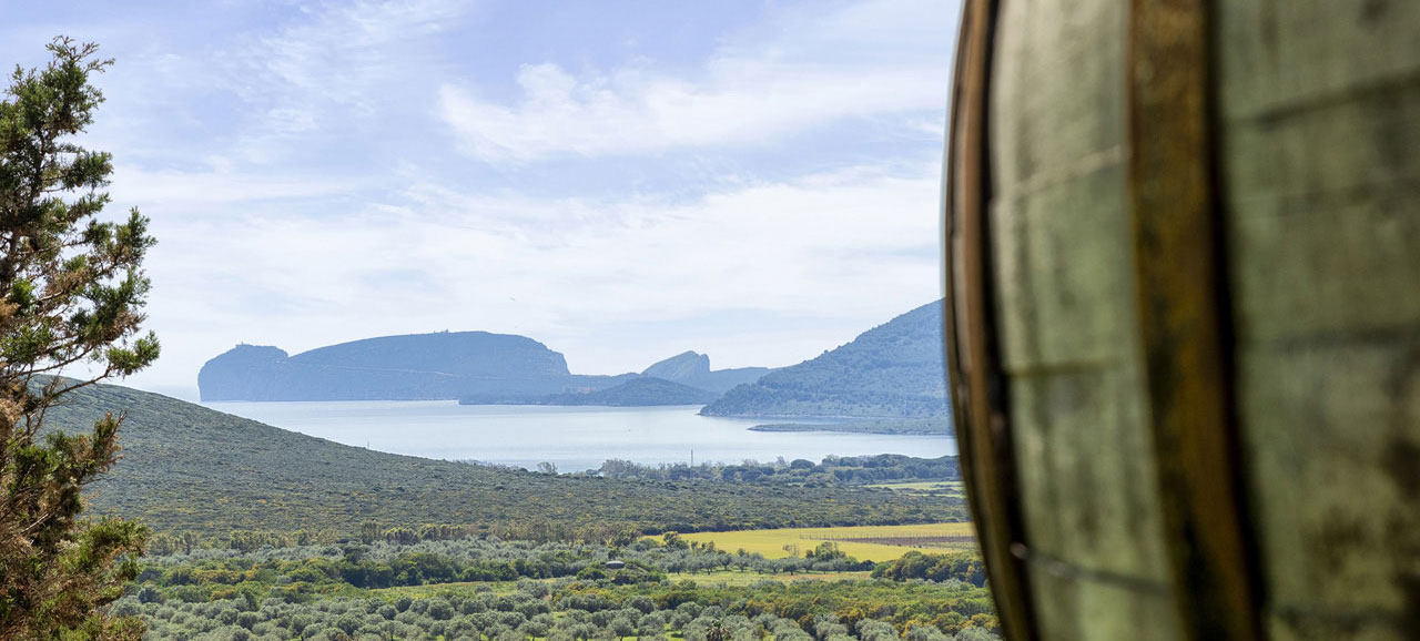 Belvedere La Collina - An enchanting venue for private events or exclusive gatherings, just a few kilometers from Alghero - 1